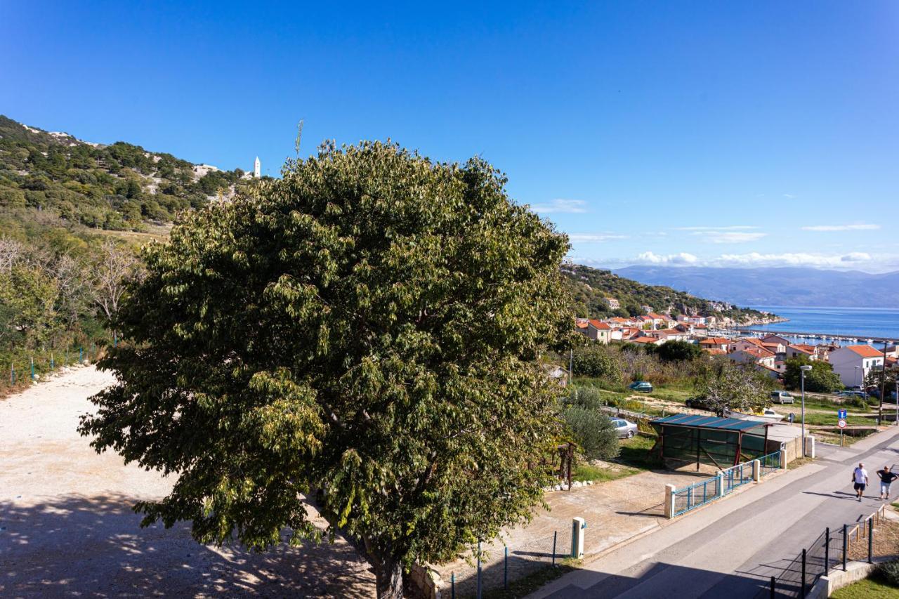 Apartment Crnekovic Tomislava 8a *